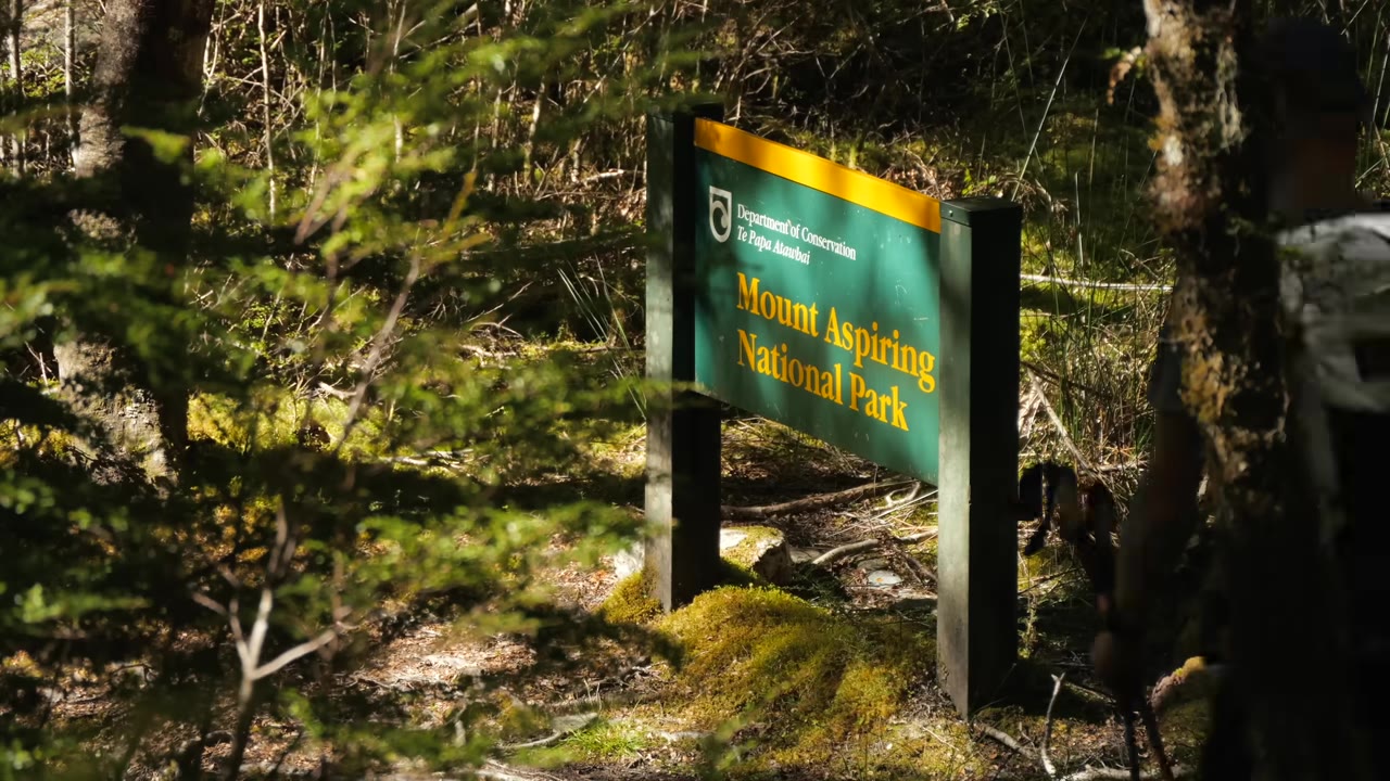 Зелёный знак в лесу: «Mount Aspiring National Park»